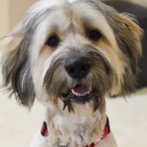 Meet your Posher, Jo jami